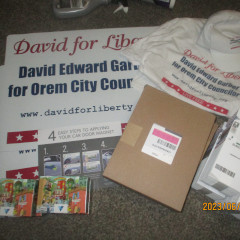 David for Liberty campaign paraphernalia.
