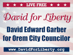 David for Liberty campaign sign design C.